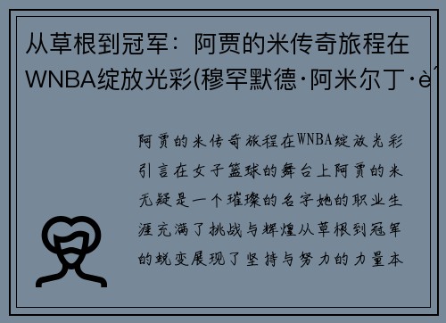 从草根到冠军：阿贾的米传奇旅程在WNBA绽放光彩(穆罕默德·阿米尔丁·贾迈勒)