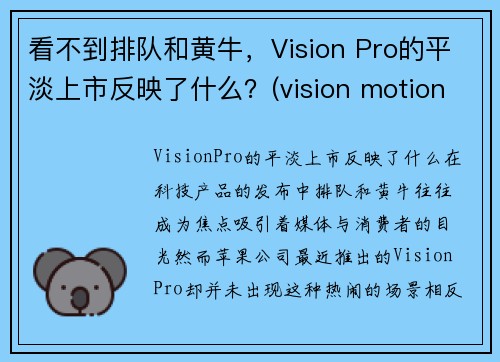 看不到排队和黄牛，Vision Pro的平淡上市反映了什么？(vision motion pro)