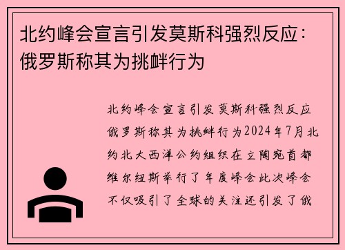 北约峰会宣言引发莫斯科强烈反应：俄罗斯称其为挑衅行为