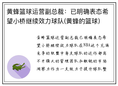 黄蜂篮球运营副总裁：已明确表态希望小桥继续效力球队(黄蜂的篮球)